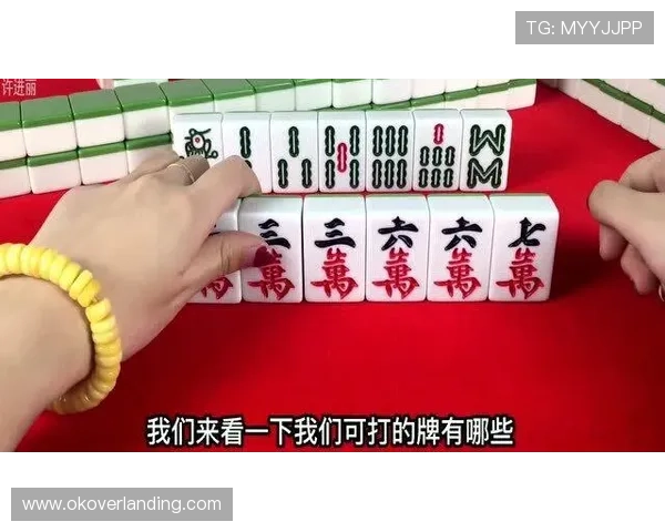 二八杠麻将规则全面解析新手快速入门与高手提升技巧的实用指南