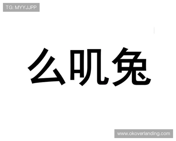 亚洲必赢国际437：新手入门必看攻略，快速掌握游戏规则与技巧