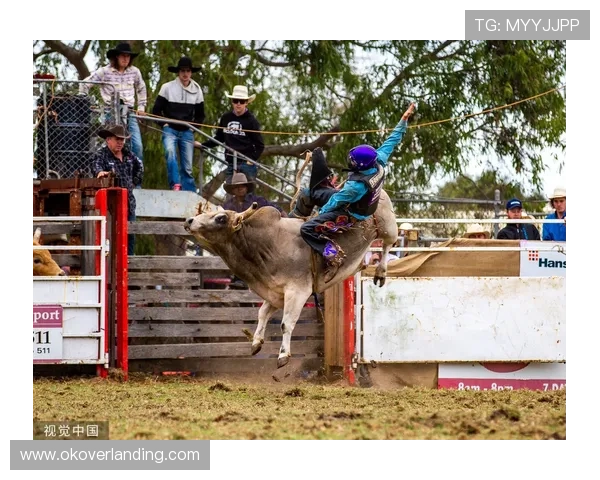 加入疯狂斗牛的牛仔世界，体验真实的牛场竞技场景，感受最刺激的牛仔对决快感