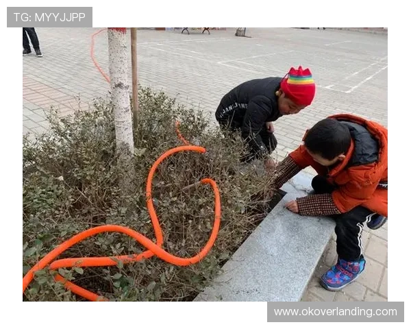 如何清洁与保养骰宝桌布延长其使用寿命保持游戏环境的整洁与专业形象