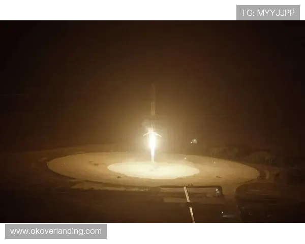 必赢3003am平台最新攻略助你轻松赢取游戏胜利实现财富自由