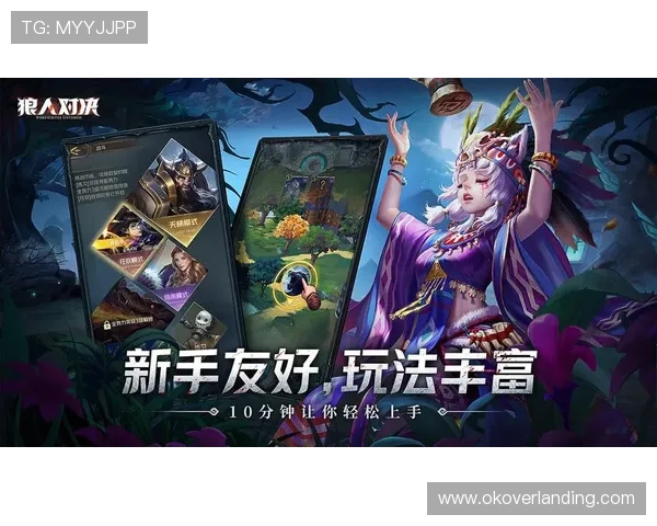 必赢会3003网站网址最新入口全面解析帮助玩家快速登录体验最佳游戏环境