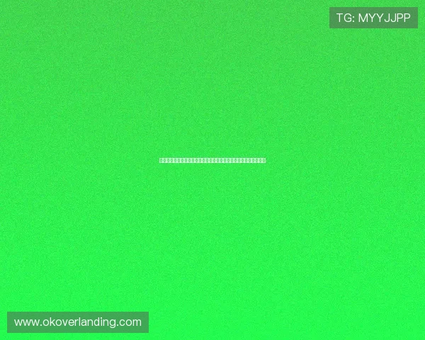 土耳其国家队对阵巴拉圭的重点球星名单及其在世界杯中的表现分析