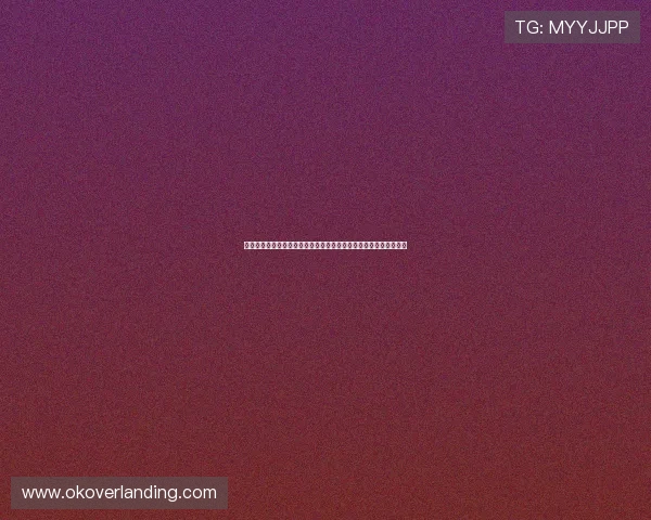 完美电竞真人版全站登录助力世界杯主题报道全面升级提升用户体验